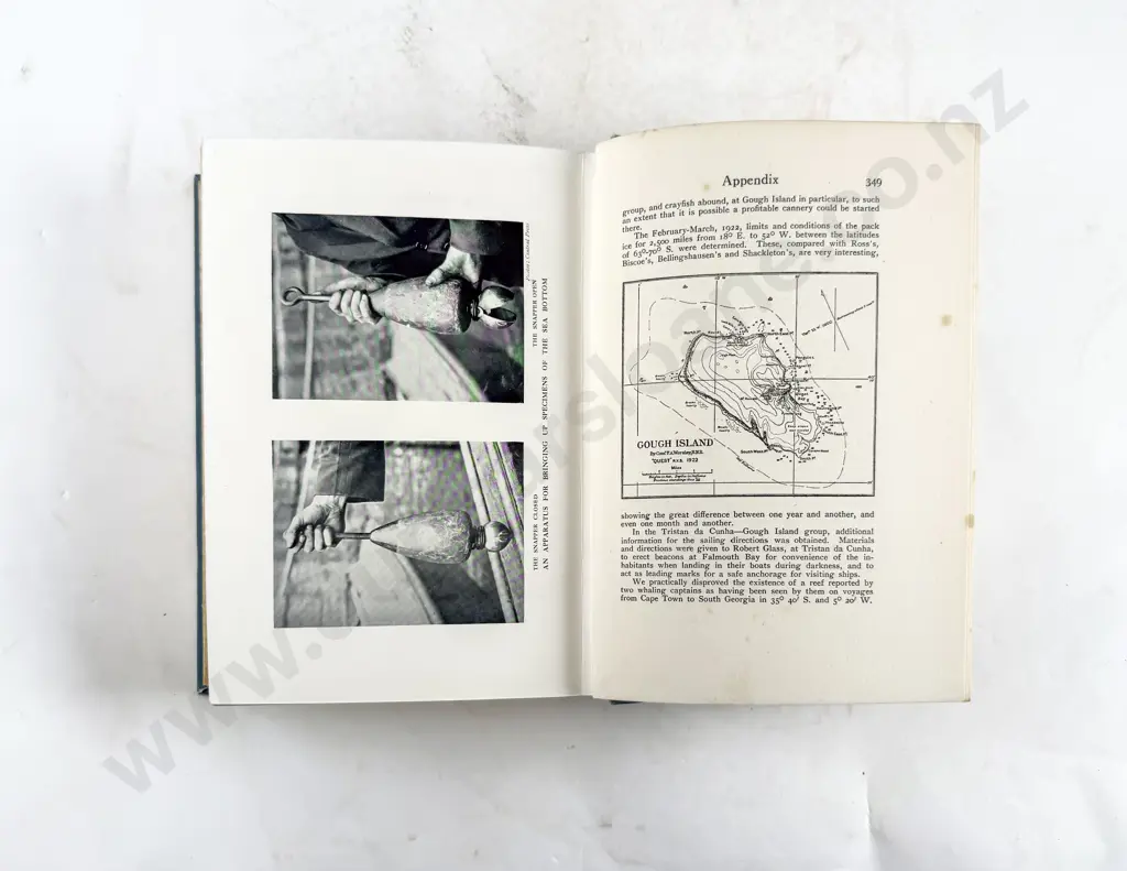 Wild Commander Frank - Shackleton's Last Voyage Image 1++
