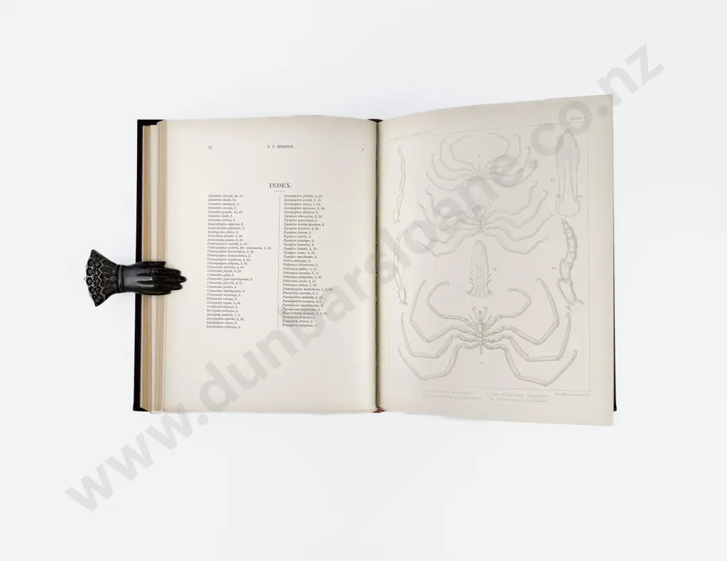 (-) National Antarctic Expedition 1901-1904 Natural History Vol III Zoology Image 1++