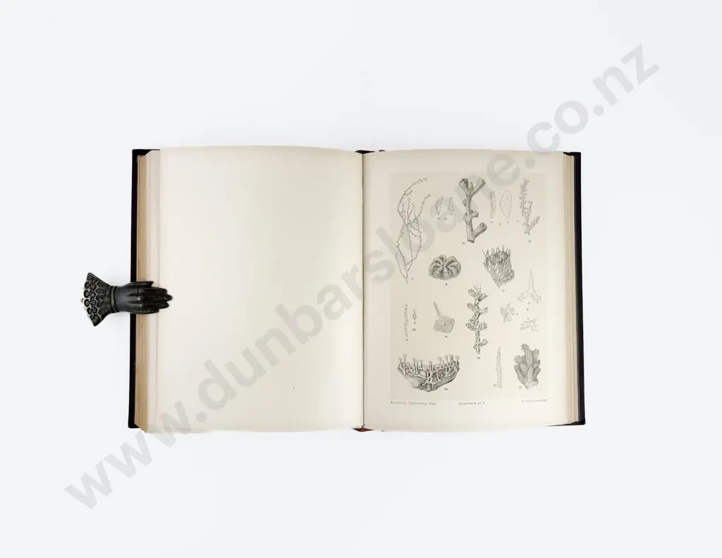 (-) National Antarctic Expedition 1901-1904 Natural History Vol III Zoology And Botany Image 1++