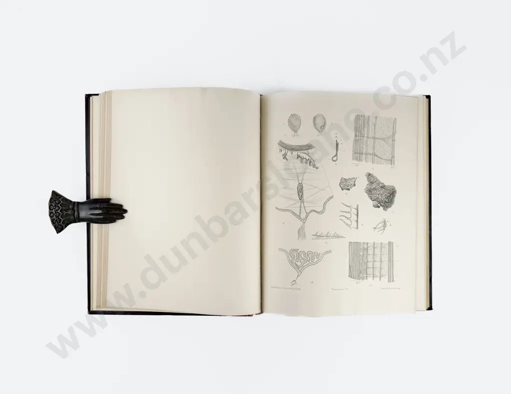(-) National Antarctic Expedition 1901-1904 Natural History Vol V Zoology And Botany Image 1++