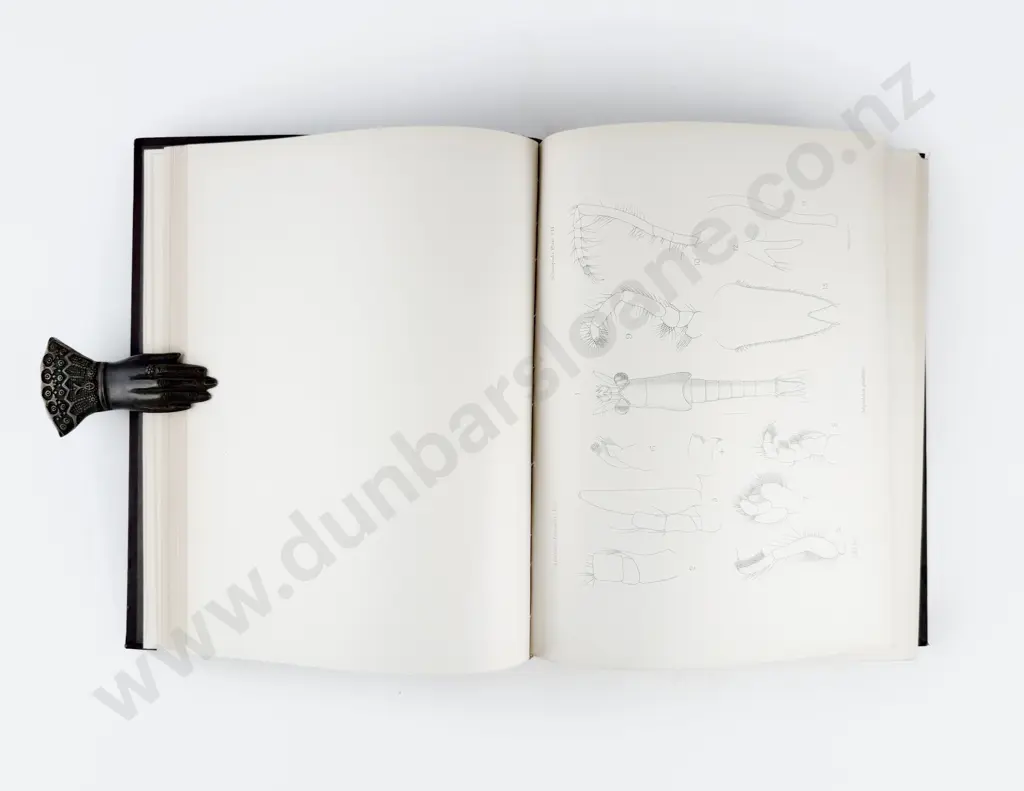 (-) National Antarctic Expedition 1901-1904 Natural History Vol IV Zoology (Various Invertebrata) Image 1++