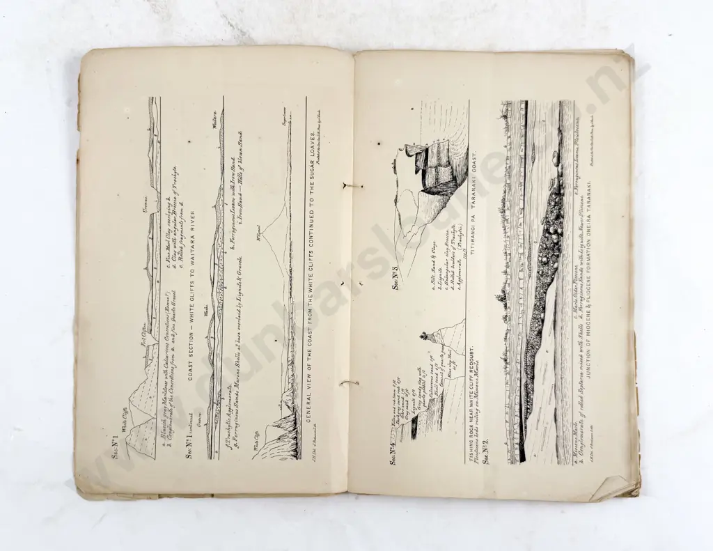 2 19th Century Geological Volumes & Botanical Notes on The Kaikoura Mountians & Mount Egmont 1867 Image 1++