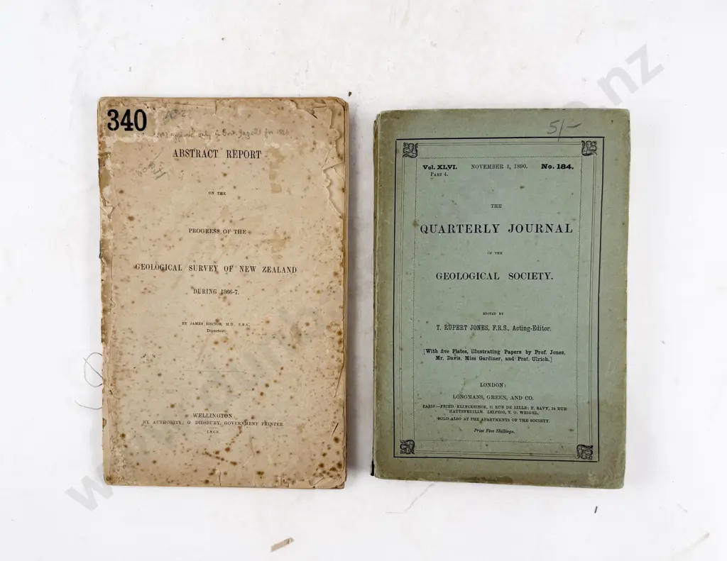 2 19th Century Geological Volumes & Botanical Notes on The Kaikoura Mountians & Mount Egmont 1867 Image 1++