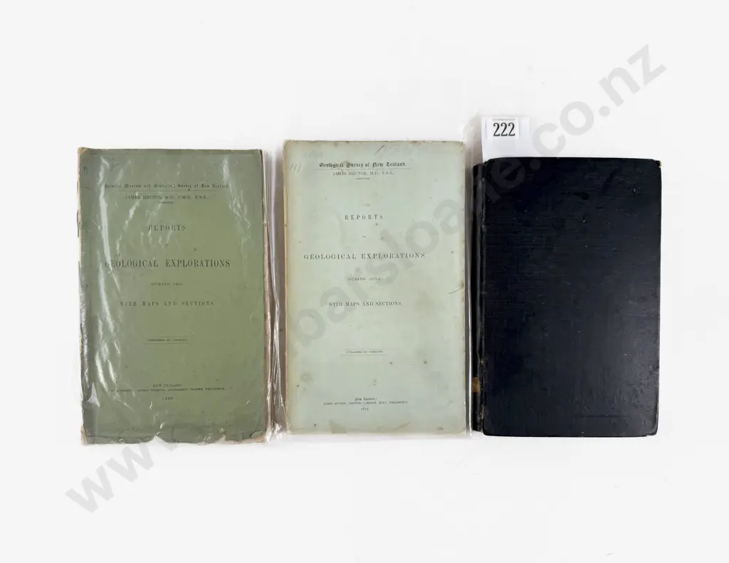 Hector James - Reports of Geological Explorations in 1870-71 Image 1++