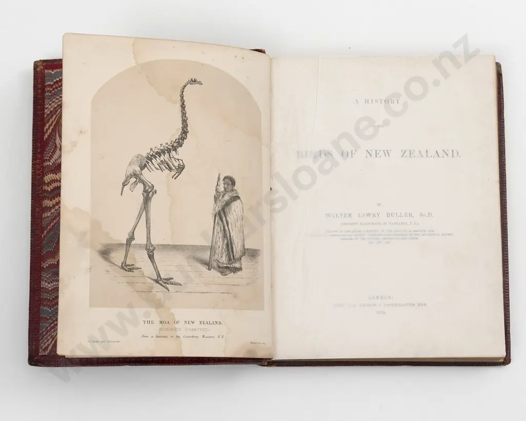 Buller Walter Lawry - A History Of The Birds Of New Zealand Image 1++