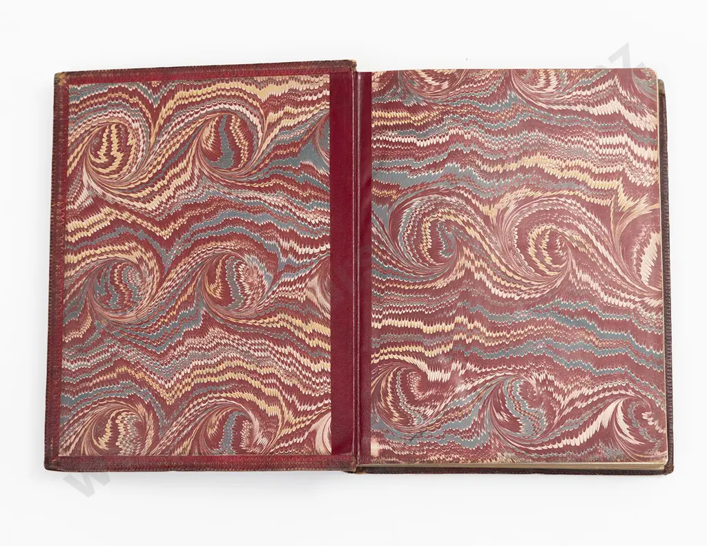 Buller Walter Lawry - A History Of The Birds Of New Zealand Image 1++