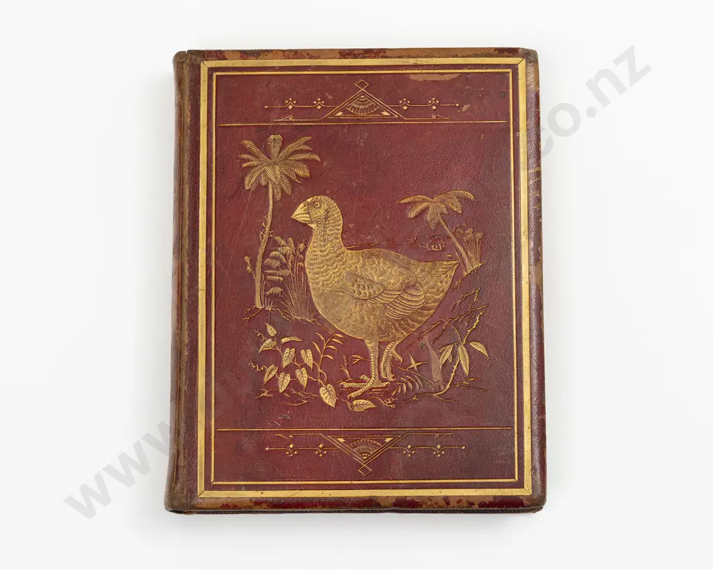 Buller Walter Lawry - A History Of The Birds Of New Zealand Image 1++
