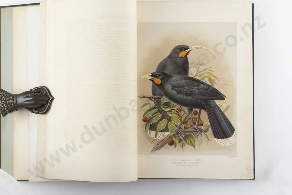 Buller Sir Walter Lawry - A History Of The Birds Of New Zealand (2 Volumes) Image 1++