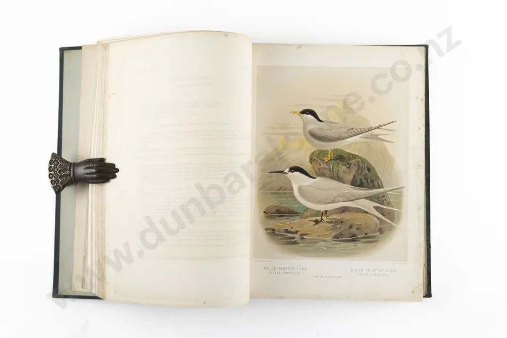 Buller Sir Walter Lawry - A History Of The Birds Of New Zealand (2 Volumes) Image 1++