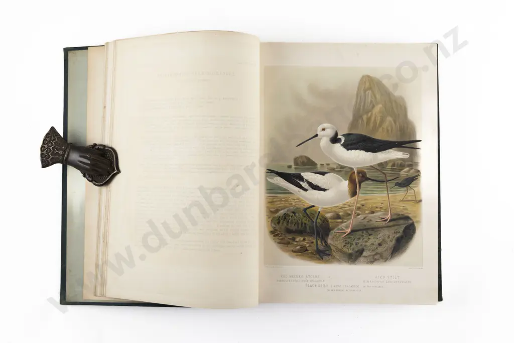 Buller Sir Walter Lawry - A History Of The Birds Of New Zealand (2 Volumes) Image 1++