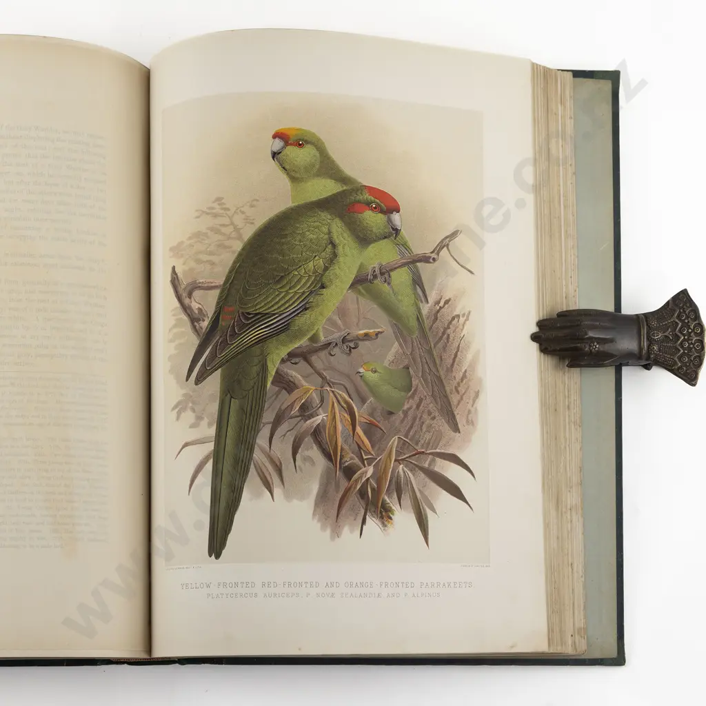 Buller Sir Walter Lawry - A History Of The Birds Of New Zealand (2 Volumes) Image 1++
