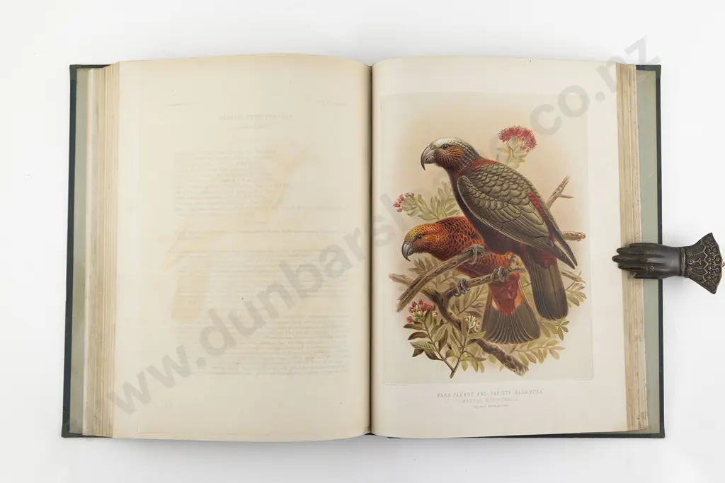 Buller Sir Walter Lawry - A History Of The Birds Of New Zealand (2 Volumes) Image 1++