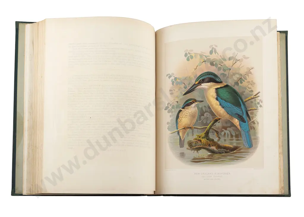 Buller Sir Walter Lawry - A History Of The Birds Of New Zealand (2 Volumes) Image 1++