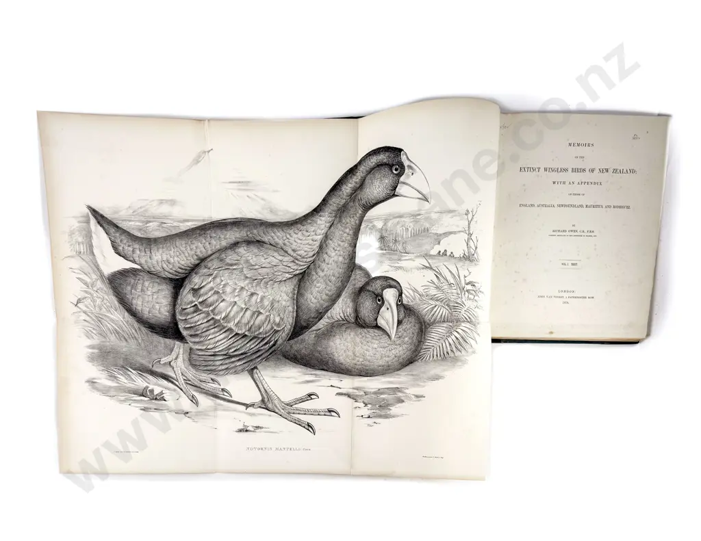 Owen Richard - Memoirs of the Extinct Wingless Birds Of New Zealand (2 Volumes) Image 1++