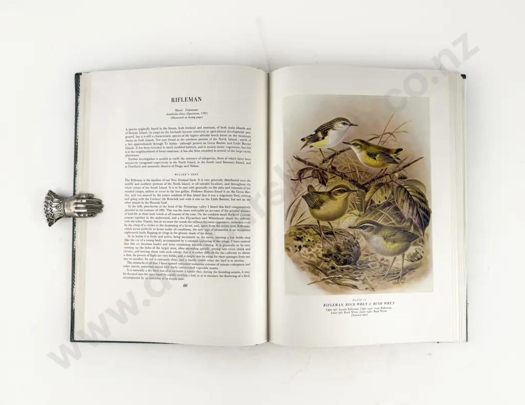 Turbott E G (Editor) - Buller's Birds Of New Zealand Image 1++