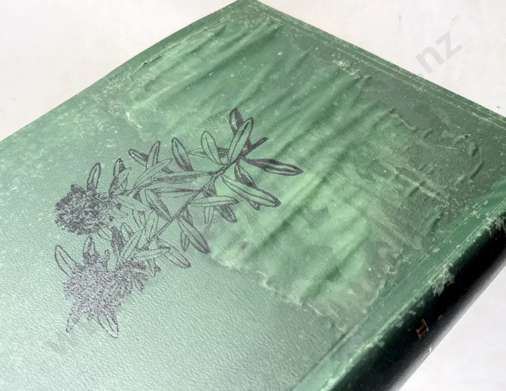 Cheeseman T F - Illustrations of the New Zealand Flora (2 Volumes) Image 1++