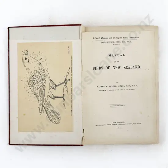 Buller Walter L - Manual Of The Birds Of New Zealand