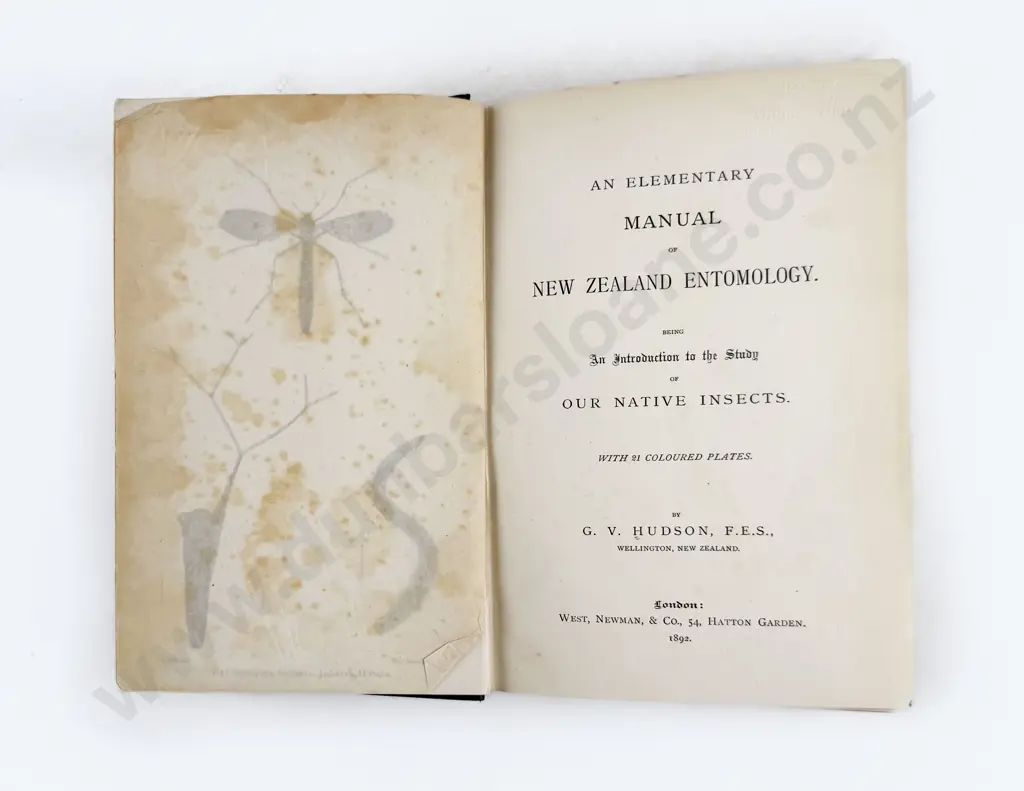 Hudson G V - An Elementary Manual of New Zealand Entomology Image 1++