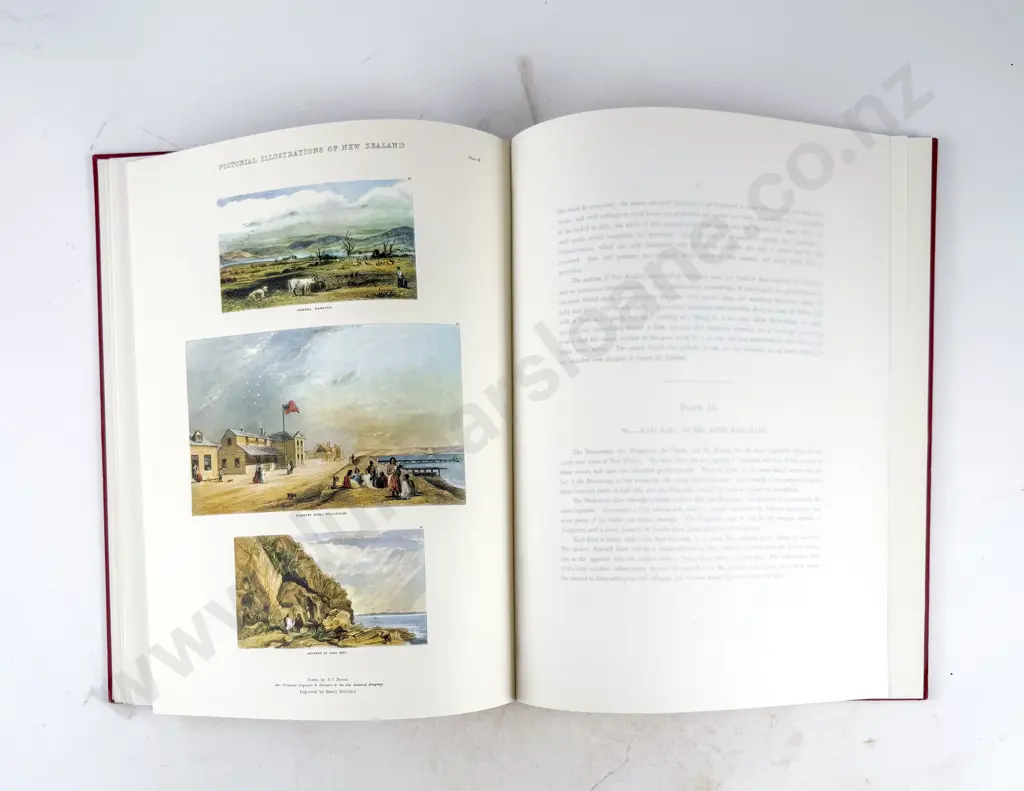 Brees Samuel Charles - Pictorial Illustrations Of New Zealand Image 1++