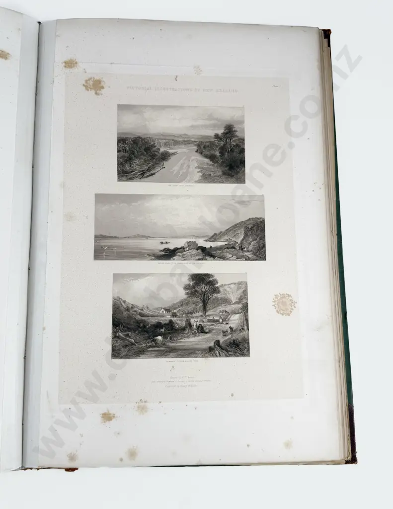 Brees Samuel Charles - Pictorial Illustrations of New Zealand Image 1++