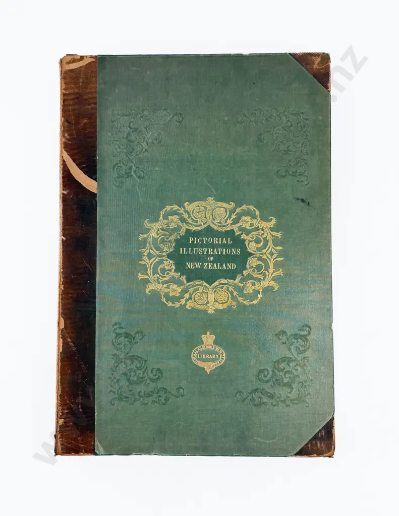Brees Samuel Charles - Pictorial Illustrations of New Zealand Image 1++