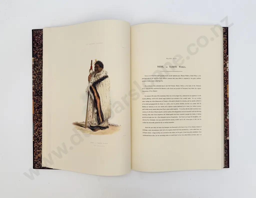 Angas George French - The New Zealanders Illustrated Image 1++