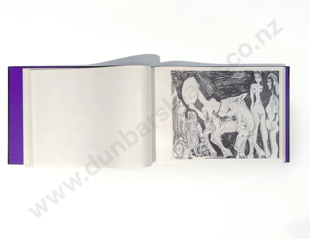 Picasso Pablo - Picasso 347 (2 Volumes) Image 1++