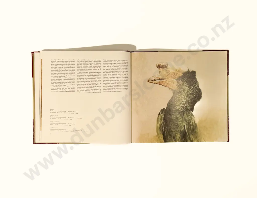 Harris-Ching Raymond - Wild Portraits Image 1++