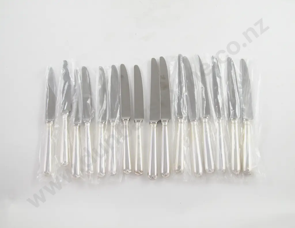 Set Of 8 Modern S/S Handled Table Knives & 8 Matching Butter/Dessert Knives Image 1++