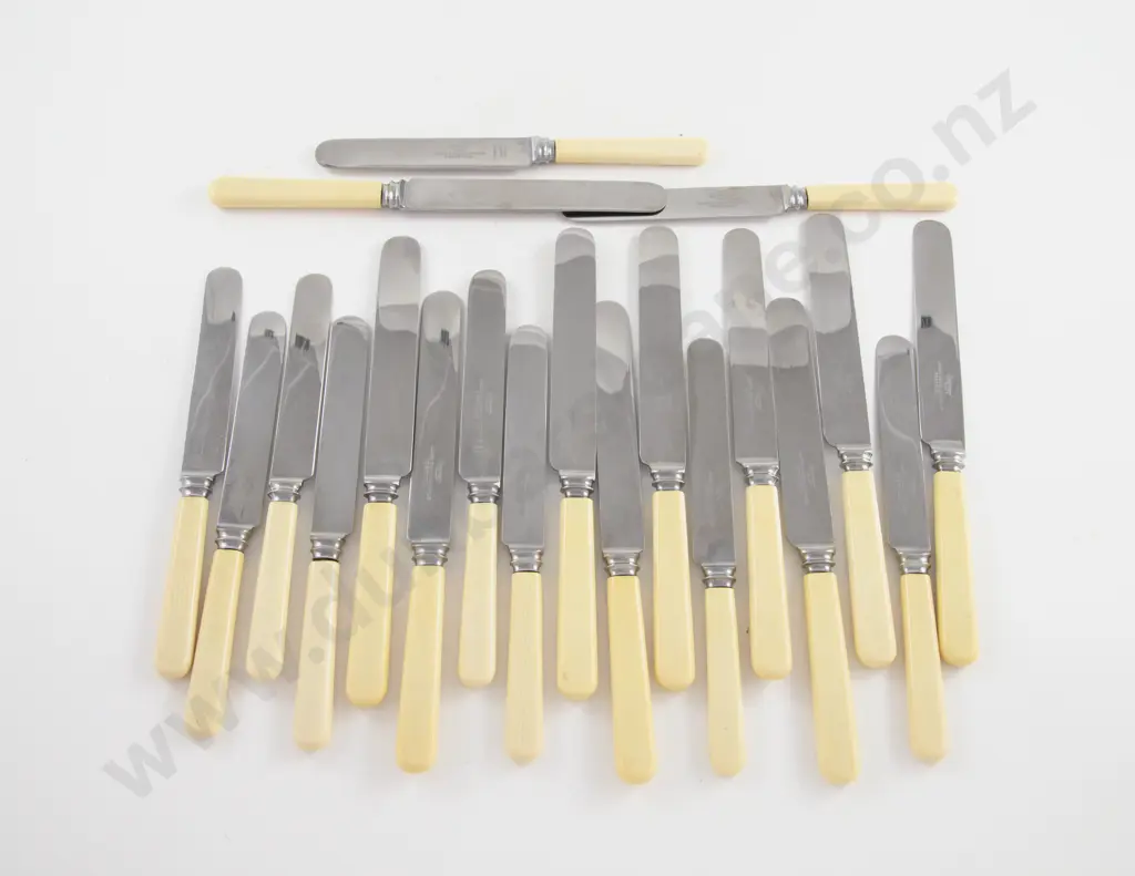 10 Bone Handled Table Knives & 10 Butter Knives Image 1++