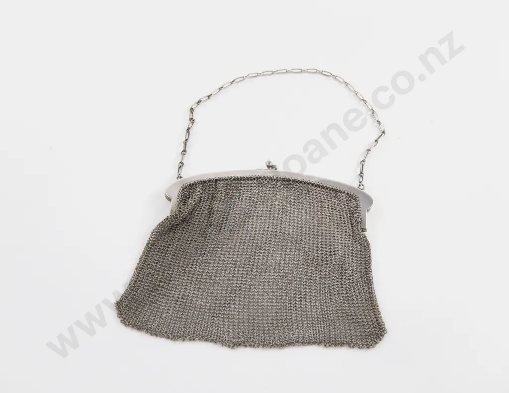 Geo V S/S Mesh Evening Purse Image 1++