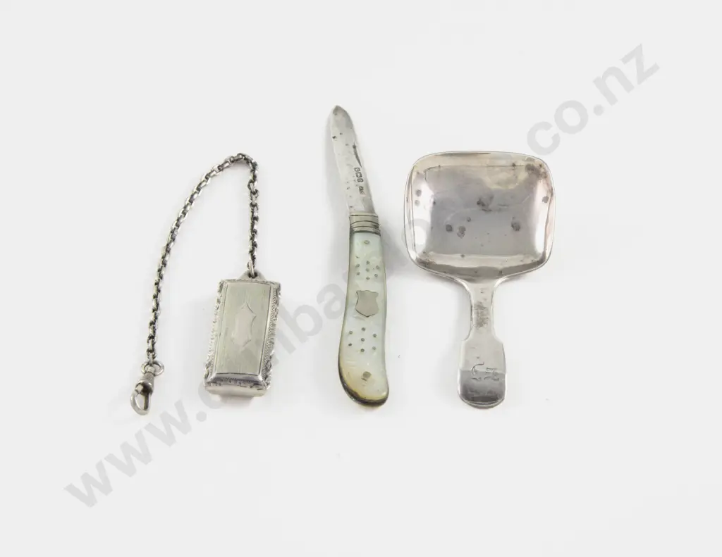 Geo III S/S Caddy Spoon Image 1++
