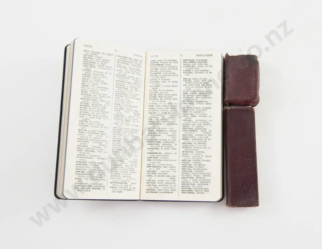 Victorian 1896 Miniature Bible and The Finger Prayer Book Image 1++