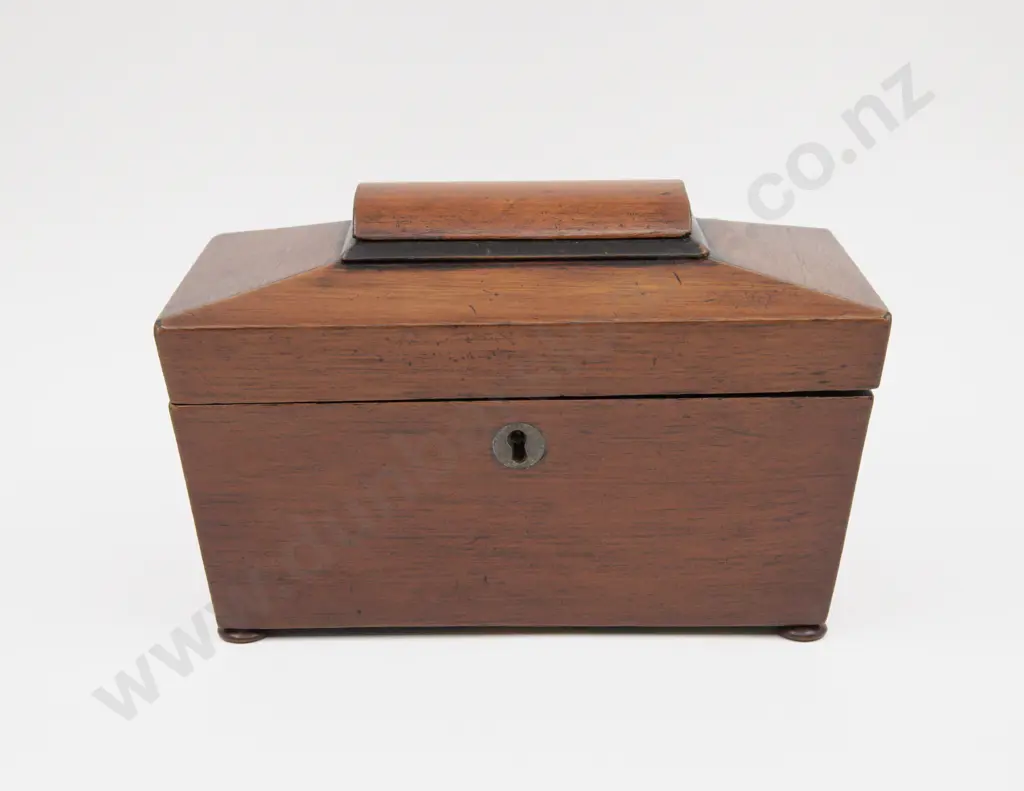 Early Victorian Mahogany Sarcophagus Form Tea Caddy Image 1++