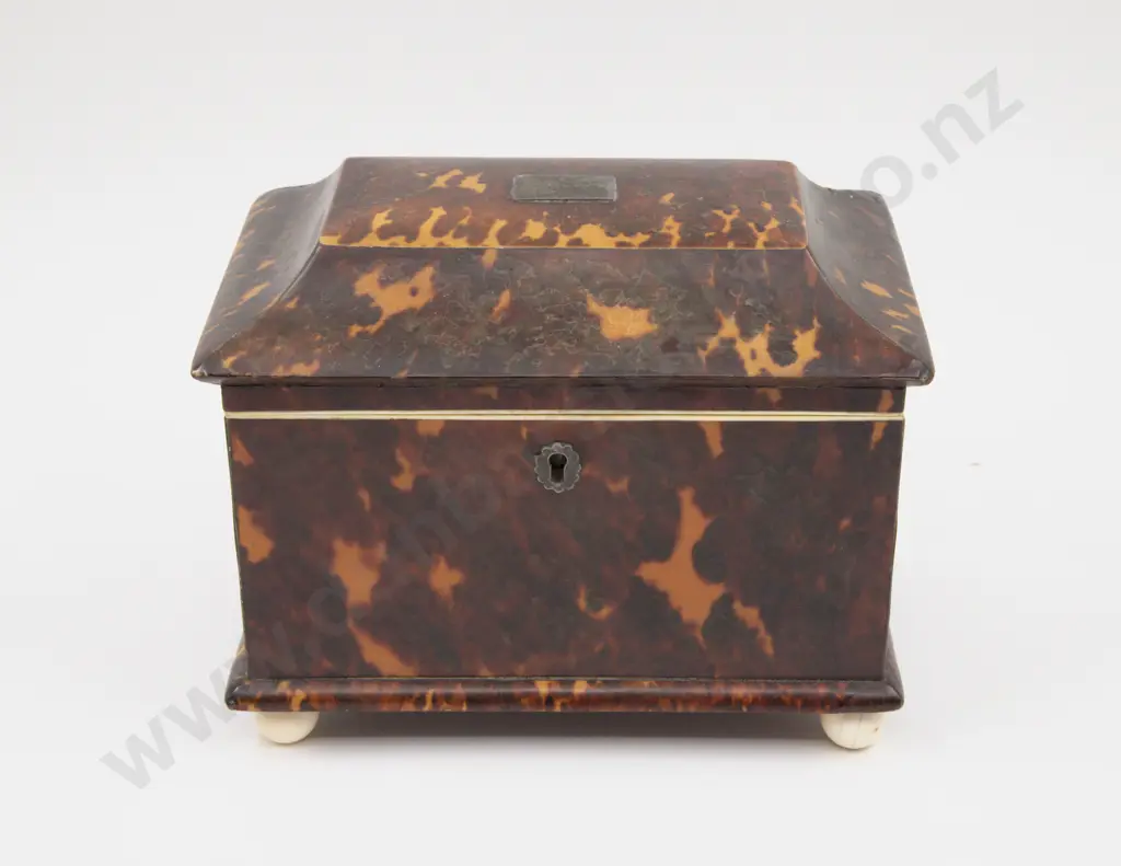 Victorian Tortoise Shell Tea Caddy Image 1++