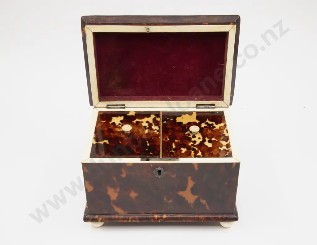 Victorian Tortoise Shell Tea Caddy Image 1++