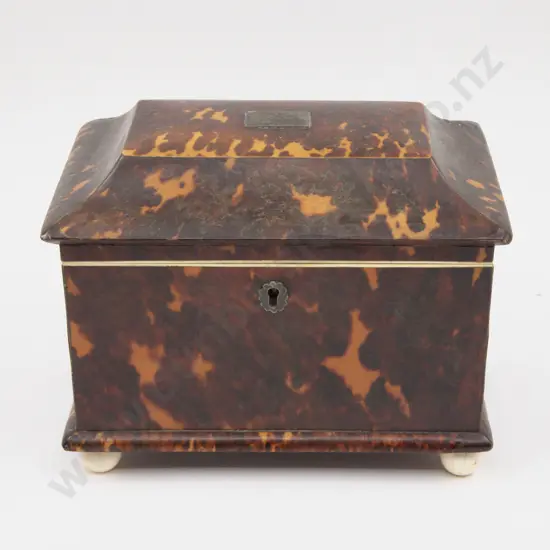 Victorian Tortoise Shell Tea Caddy