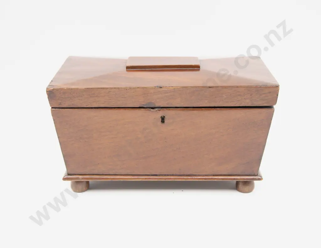 Regency Mahogany Sarcophagus Tea Caddy Image 1++