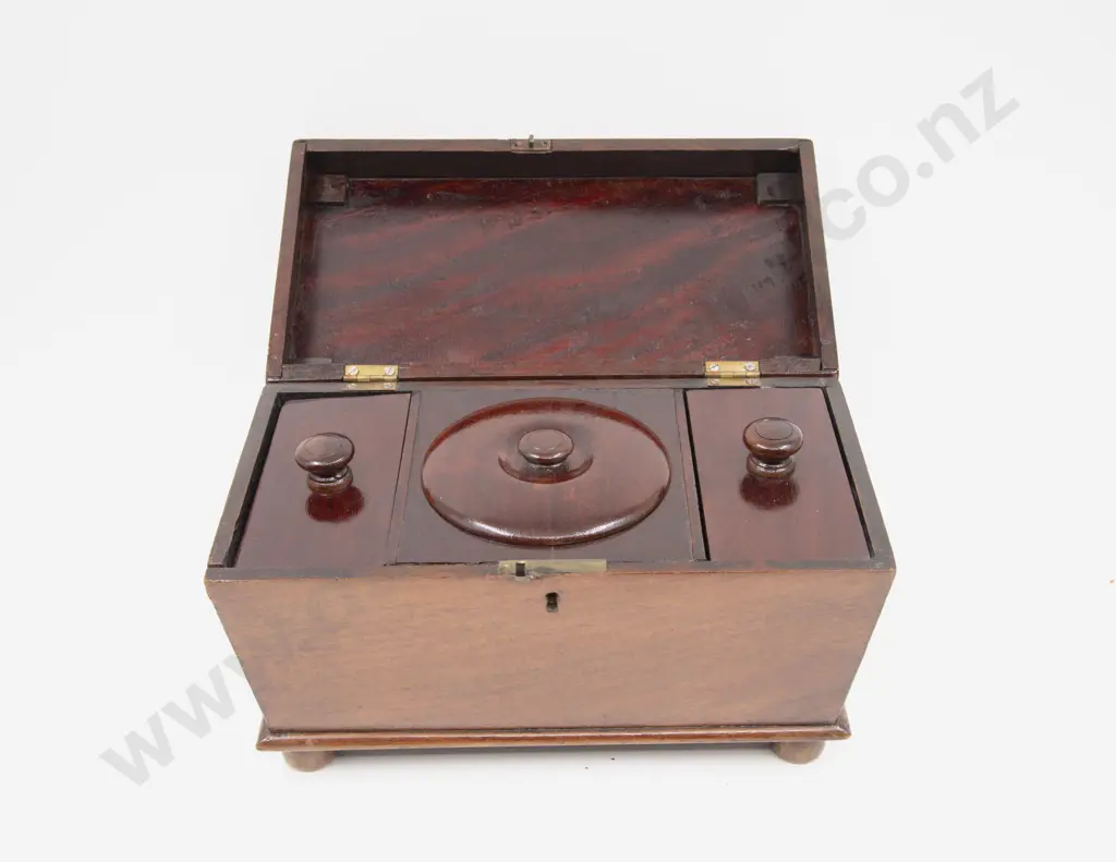 Regency Mahogany Sarcophagus Tea Caddy Image 1++