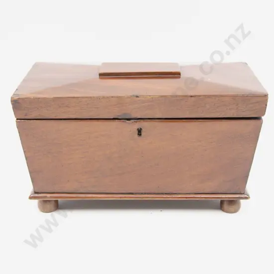 Regency Mahogany Sarcophagus Tea Caddy