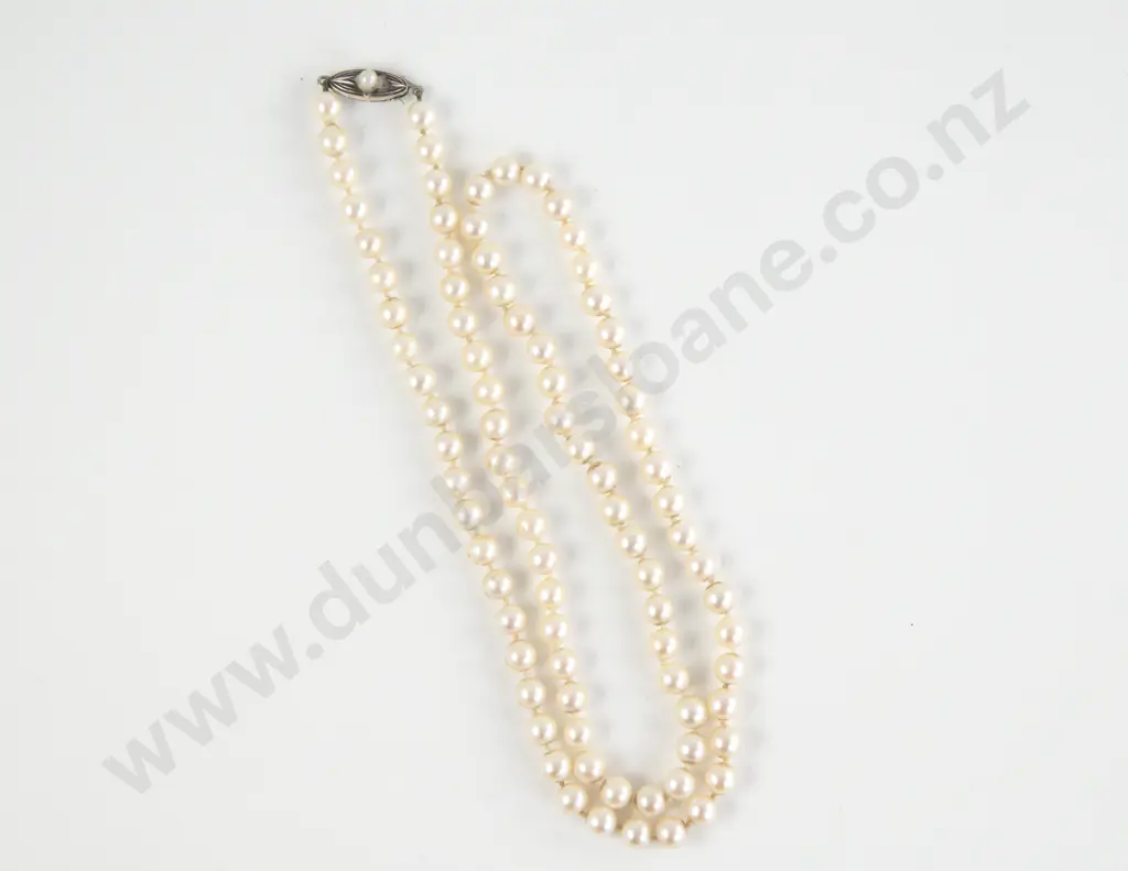 Mikimoto Single Strand Uniform Cultured Pearl Necklace Image 1++