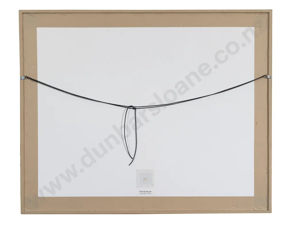 Colin McCahon - Oaia Island - Necessary Protection Image 1++