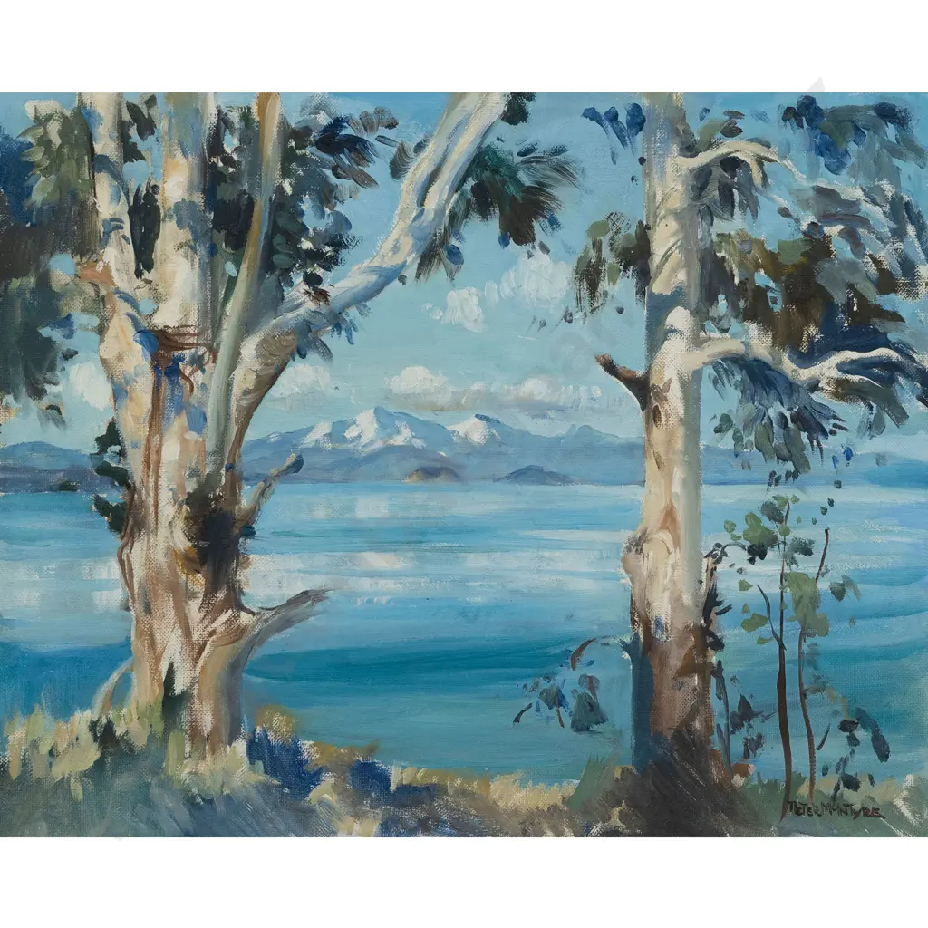 Peter McIntyre - Lake Taupō Image 1++