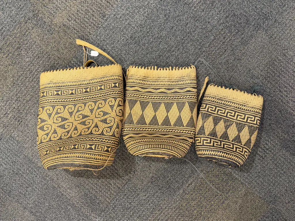Graduated Set of Three Woven Bags Image 1++