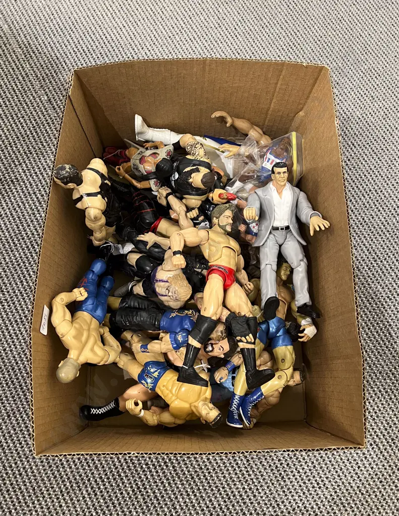 Assorted Wrestling Action Figures Image 1++