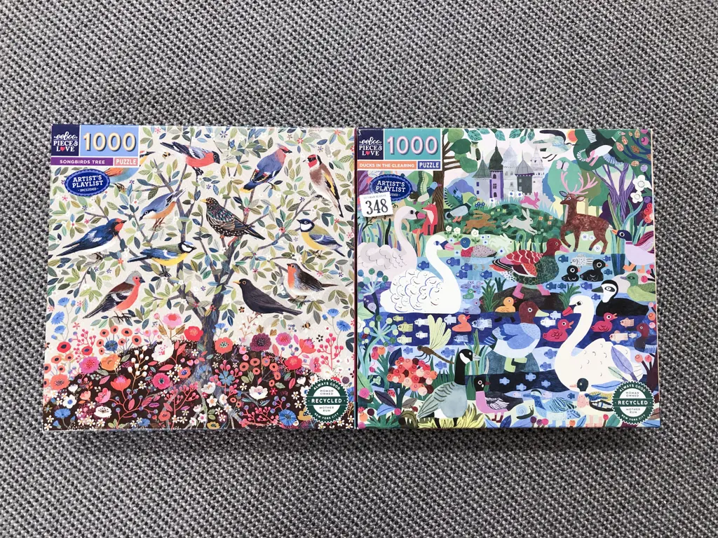 Eboo 1000 Piece Puzzle Image 1++