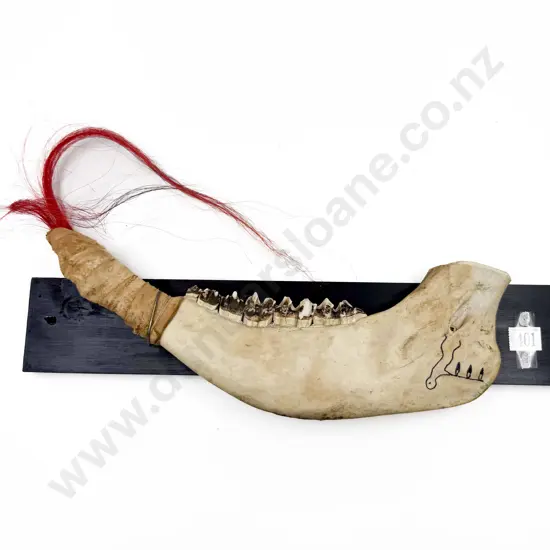 Mounted Jaw Bone