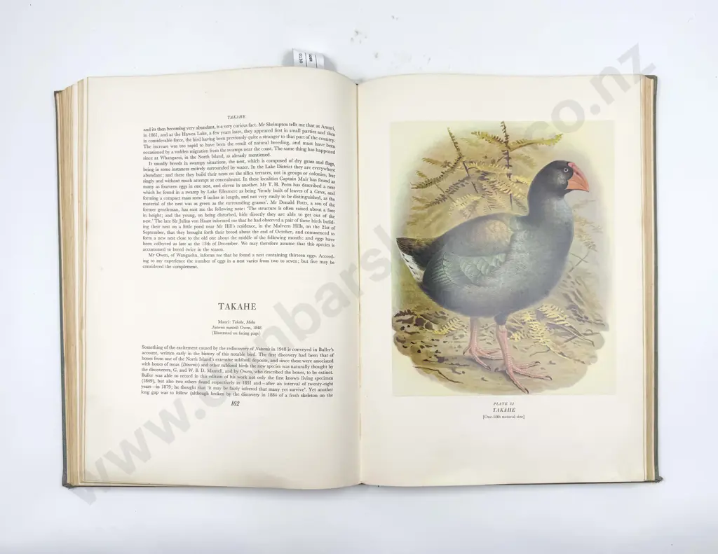 Buller's Birds of NZ (2nd Edition 1967) Image 1++