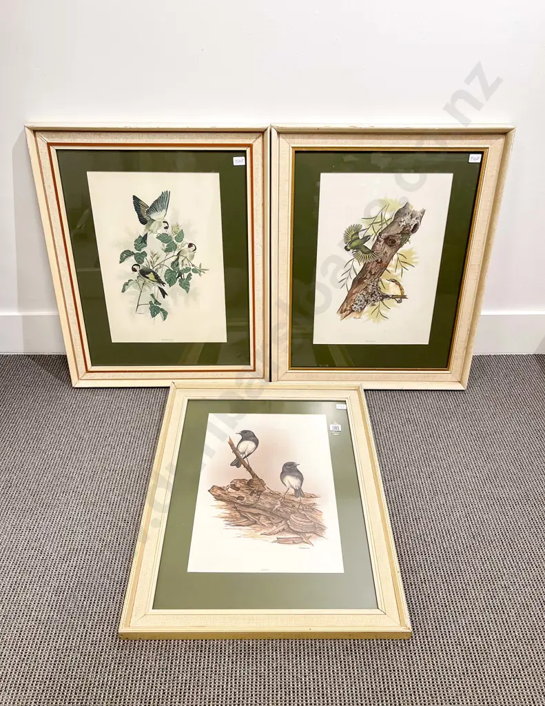 Three Janet Marshall Bird Study Prints Image 1++