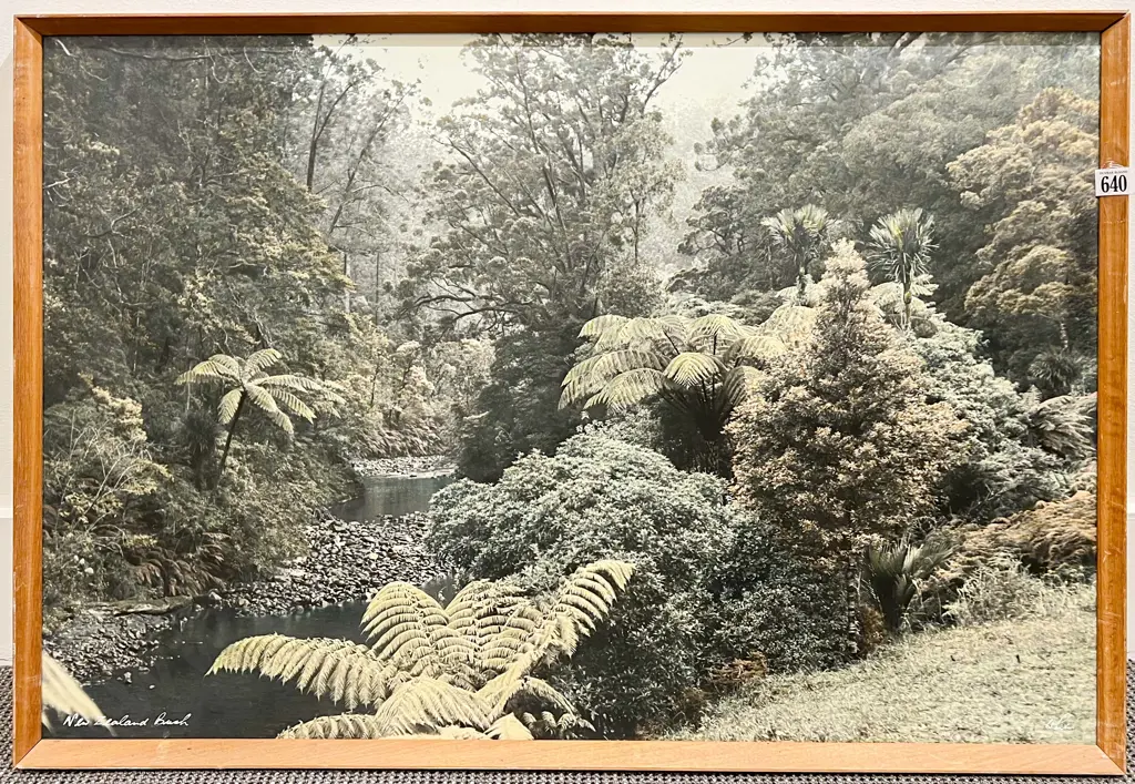 Whites Aviation NZ Bush Image 1++